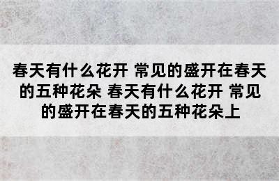 春天有什么花开 常见的盛开在春天的五种花朵 春天有什么花开 常见的盛开在春天的五种花朵上